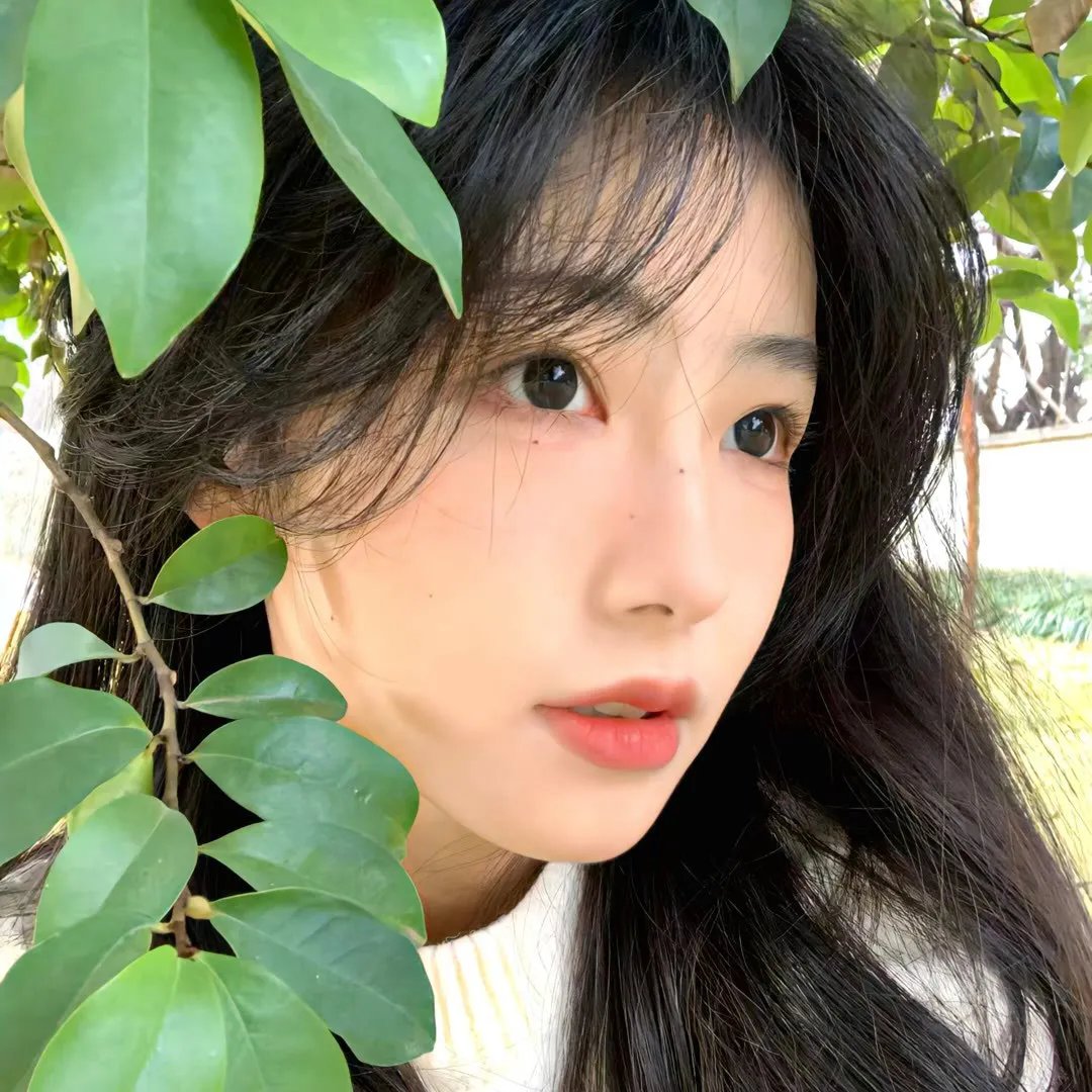 人鱼咒